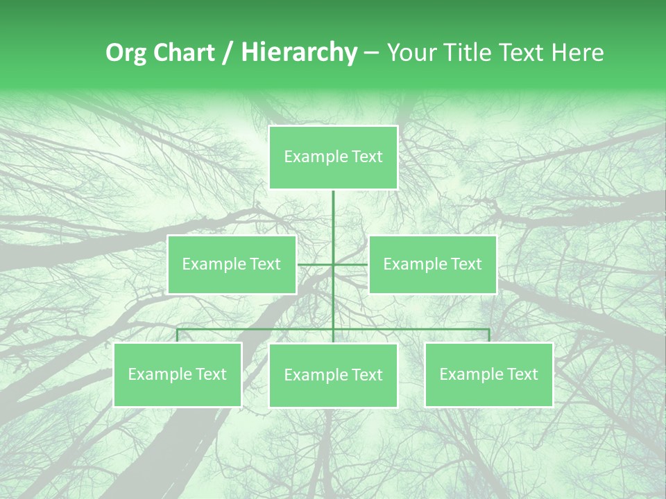 Looking Up At The Sky PowerPoint Template