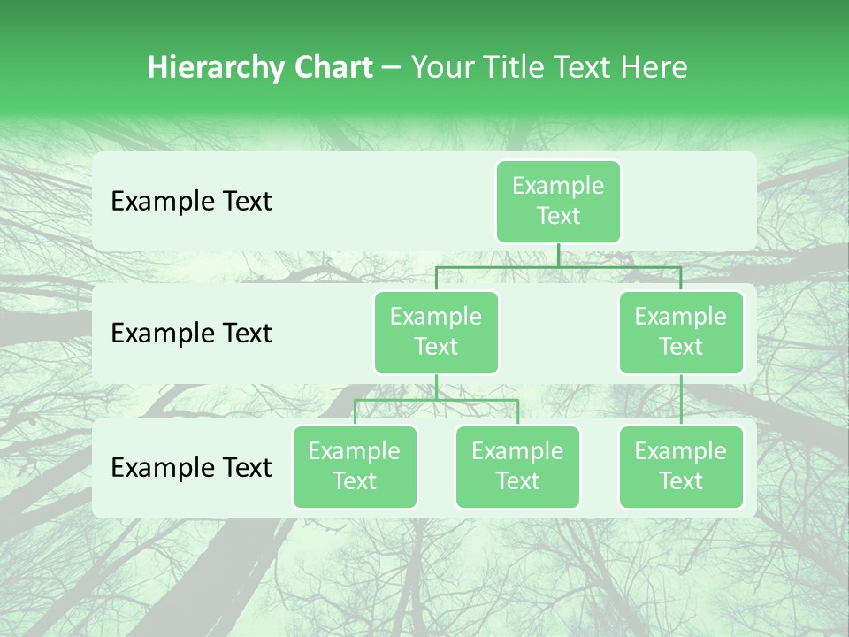 Looking Up At The Sky PowerPoint Template