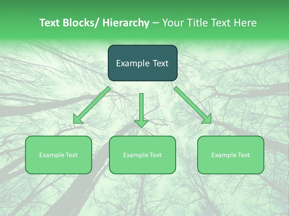Looking Up At The Sky PowerPoint Template