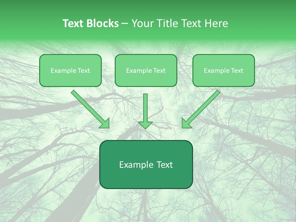 Looking Up At The Sky PowerPoint Template
