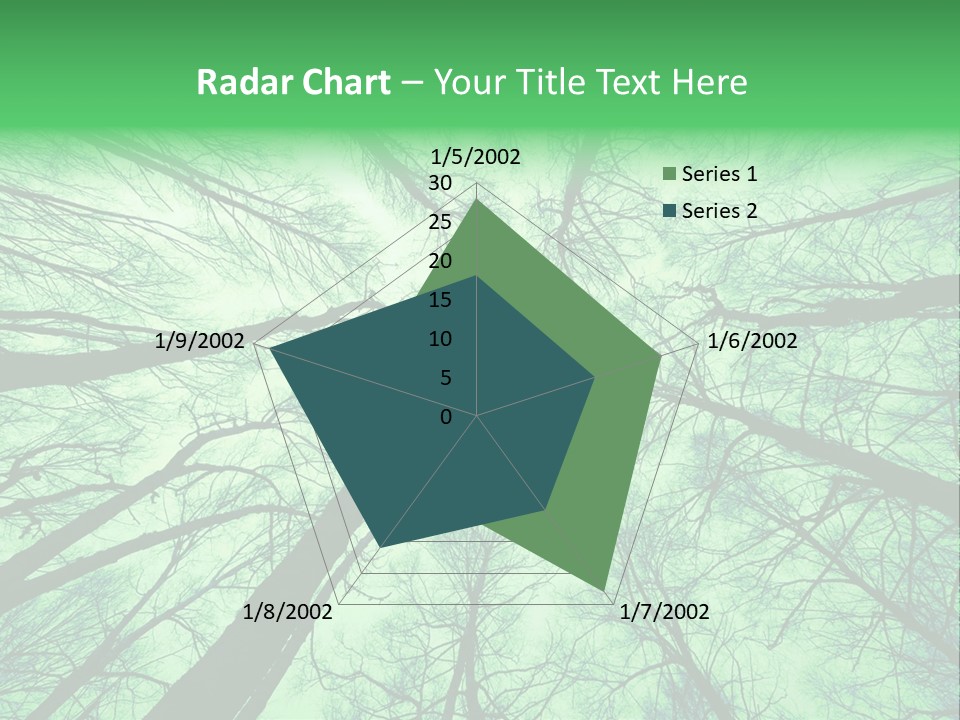 Looking Up At The Sky PowerPoint Template