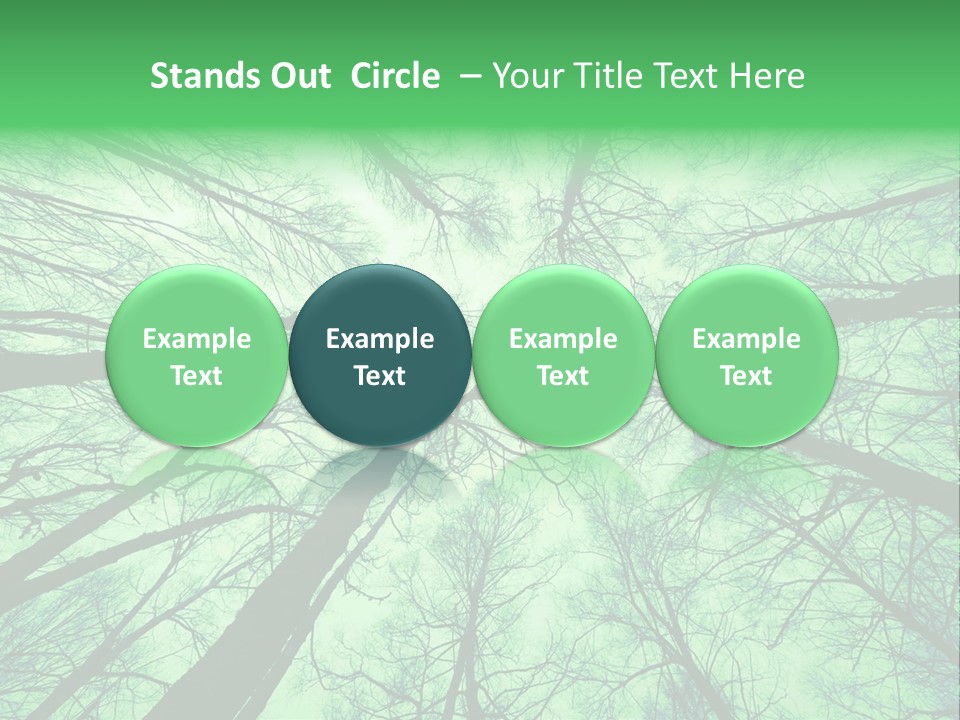 Looking Up At The Sky PowerPoint Template