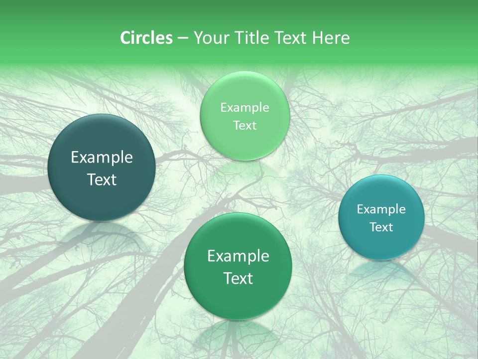 Looking Up At The Sky PowerPoint Template