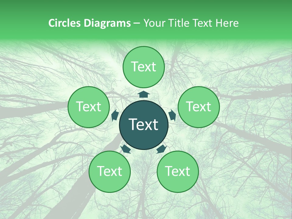 Looking Up At The Sky PowerPoint Template