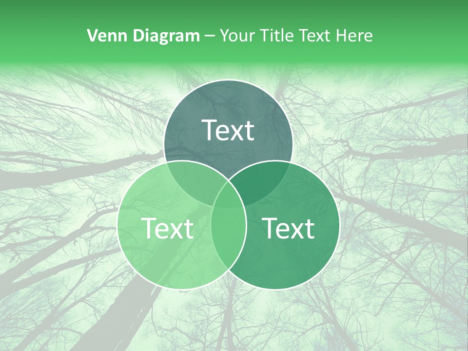 Looking Up At The Sky PowerPoint Template