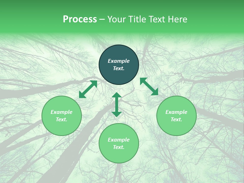 Looking Up At The Sky PowerPoint Template