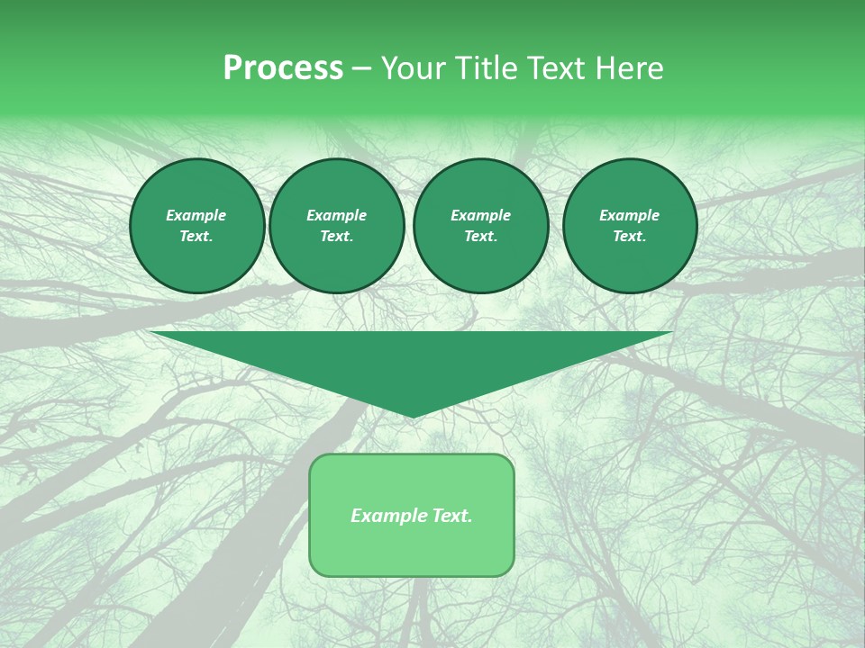 Looking Up At The Sky PowerPoint Template