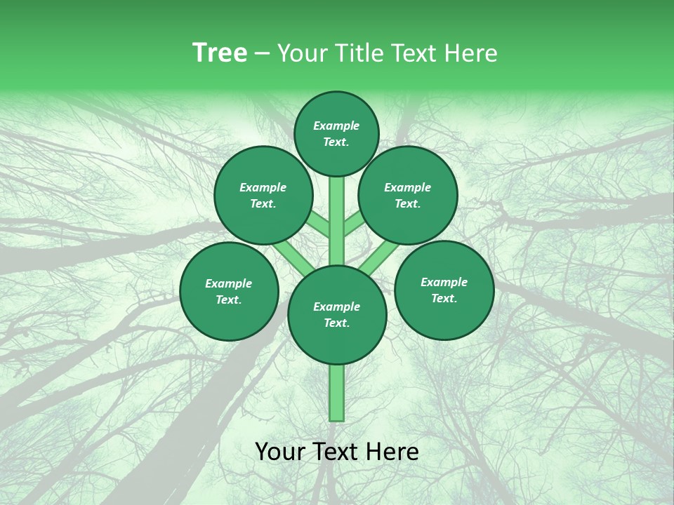 Looking Up At The Sky PowerPoint Template