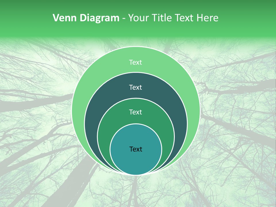 Looking Up At The Sky PowerPoint Template