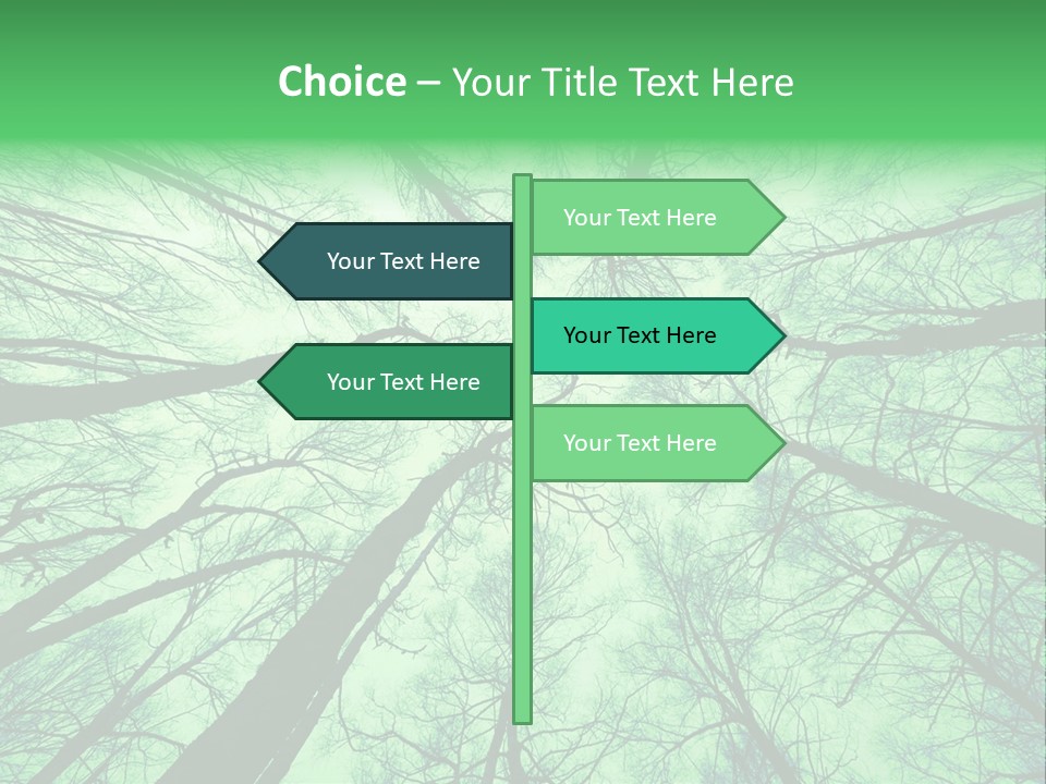 Looking Up At The Sky PowerPoint Template