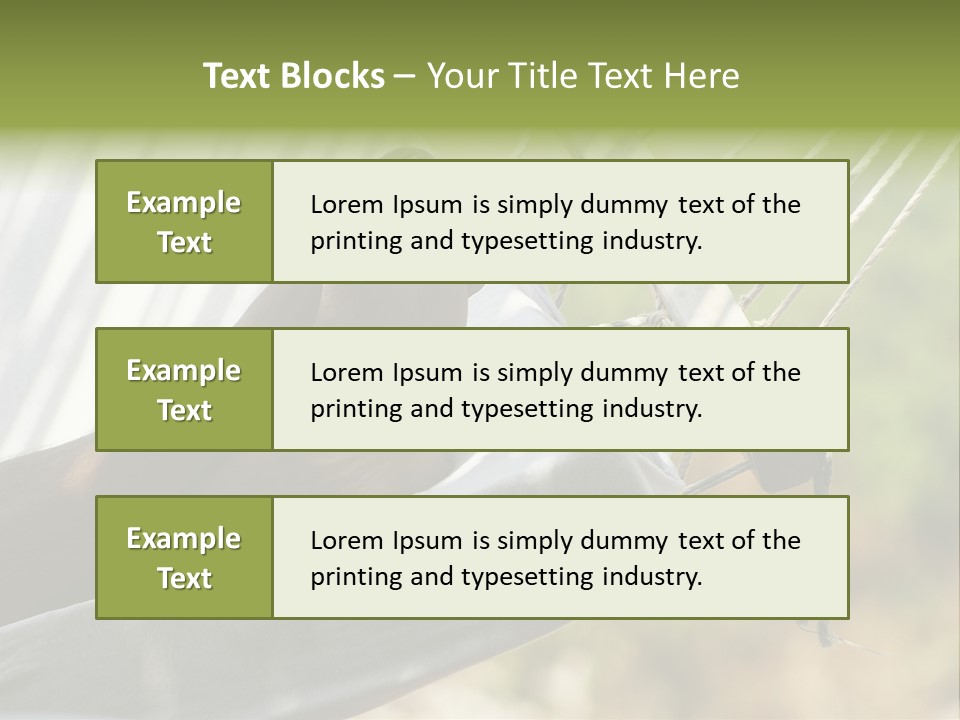 Colorful Abstract Background PowerPoint Template