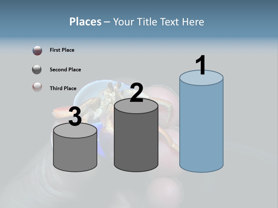 Hermit Crab PowerPoint Template