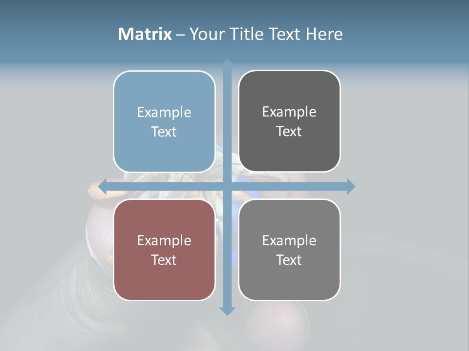 Hermit Crab PowerPoint Template