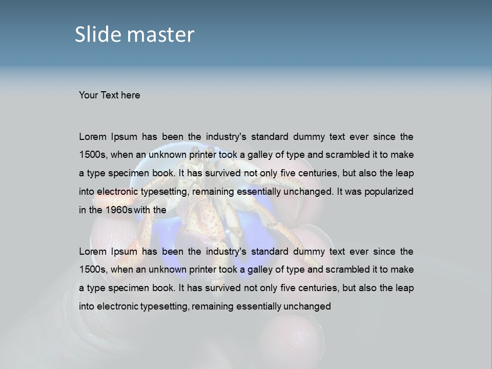 Hermit Crab PowerPoint Template