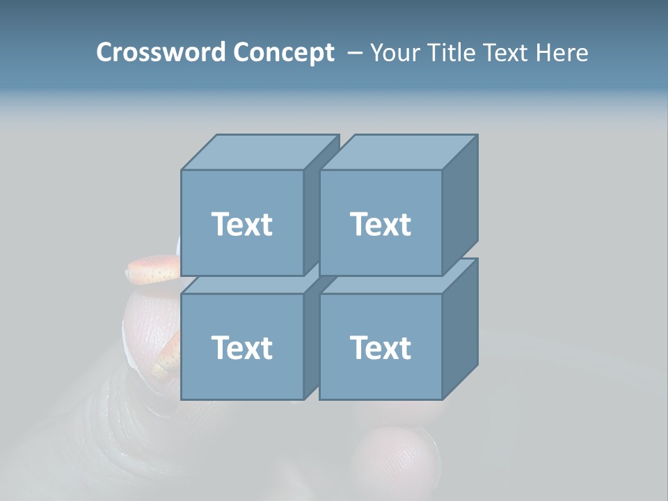 Hermit Crab PowerPoint Template