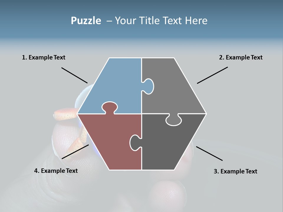 Hermit Crab PowerPoint Template