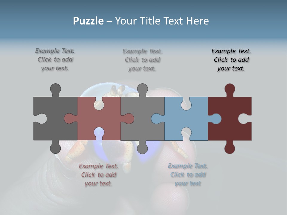 Hermit Crab PowerPoint Template