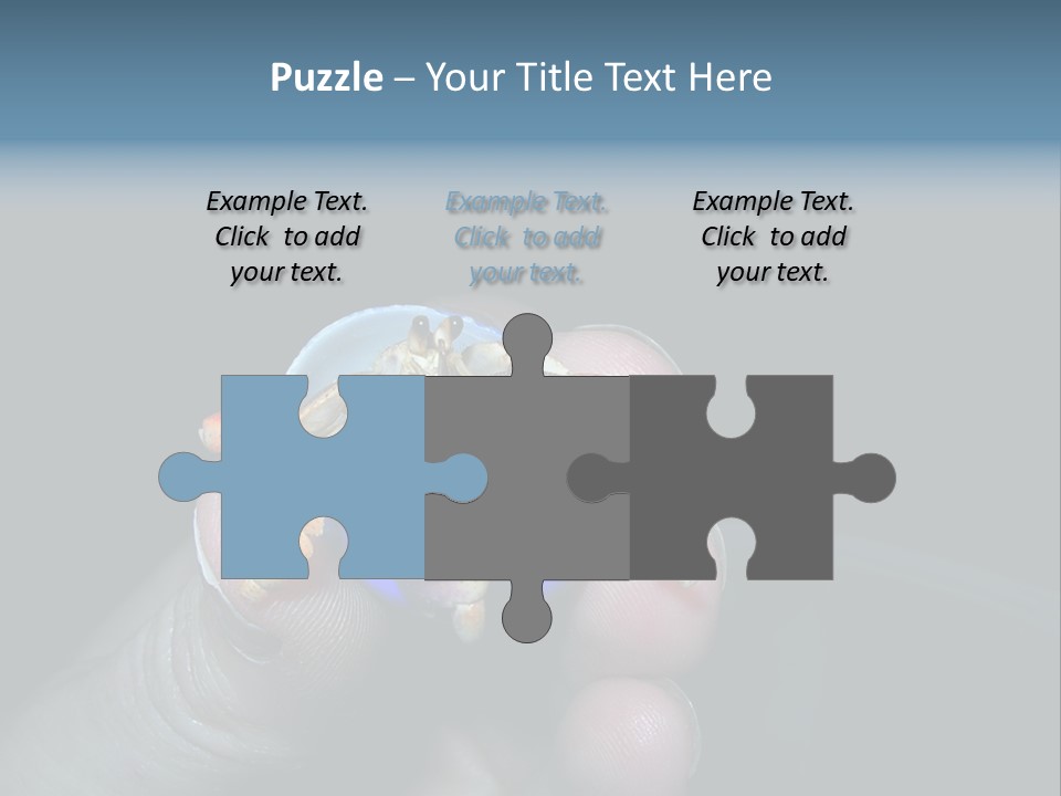 Hermit Crab PowerPoint Template