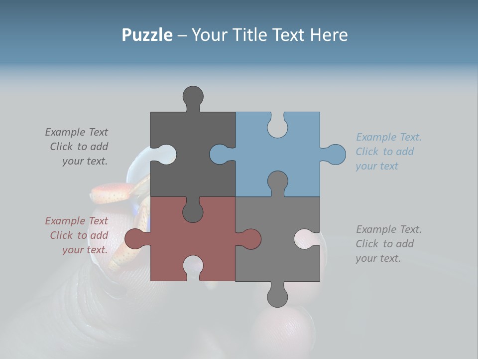 Hermit Crab PowerPoint Template