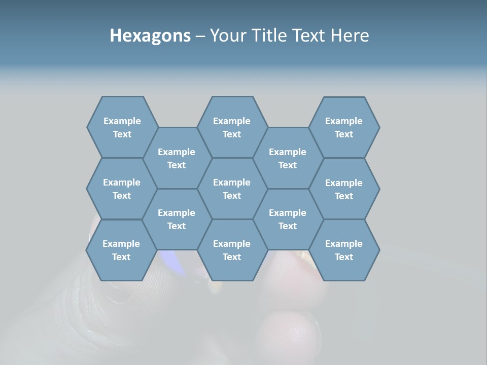 Hermit Crab PowerPoint Template