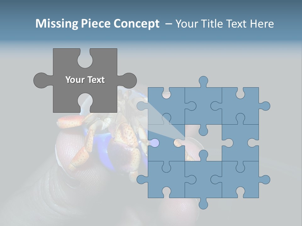 Hermit Crab PowerPoint Template