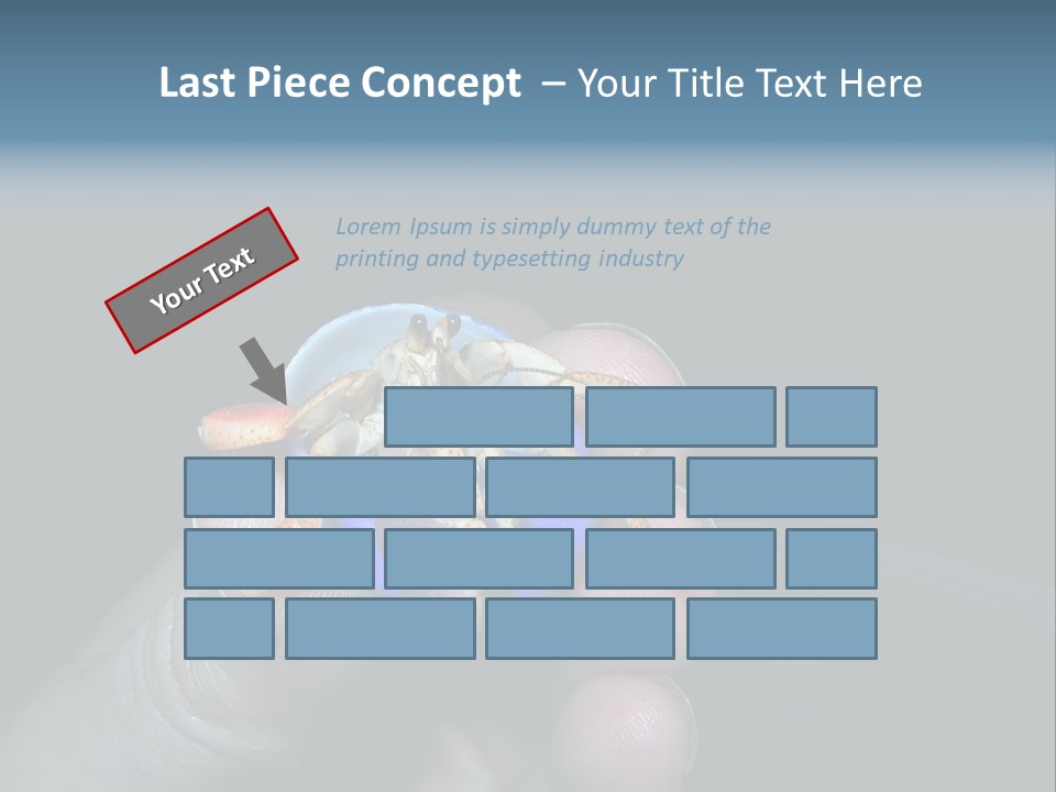 Hermit Crab PowerPoint Template