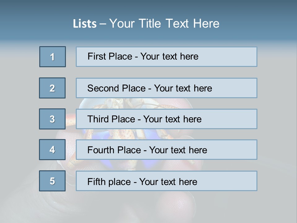 Hermit Crab PowerPoint Template