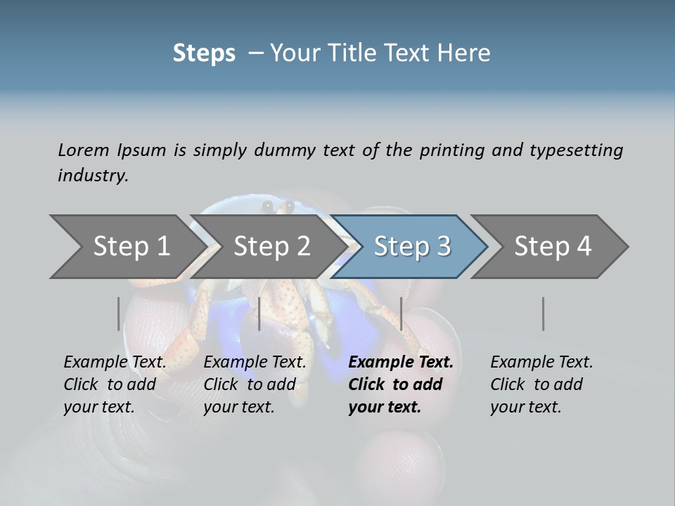 Hermit Crab PowerPoint Template
