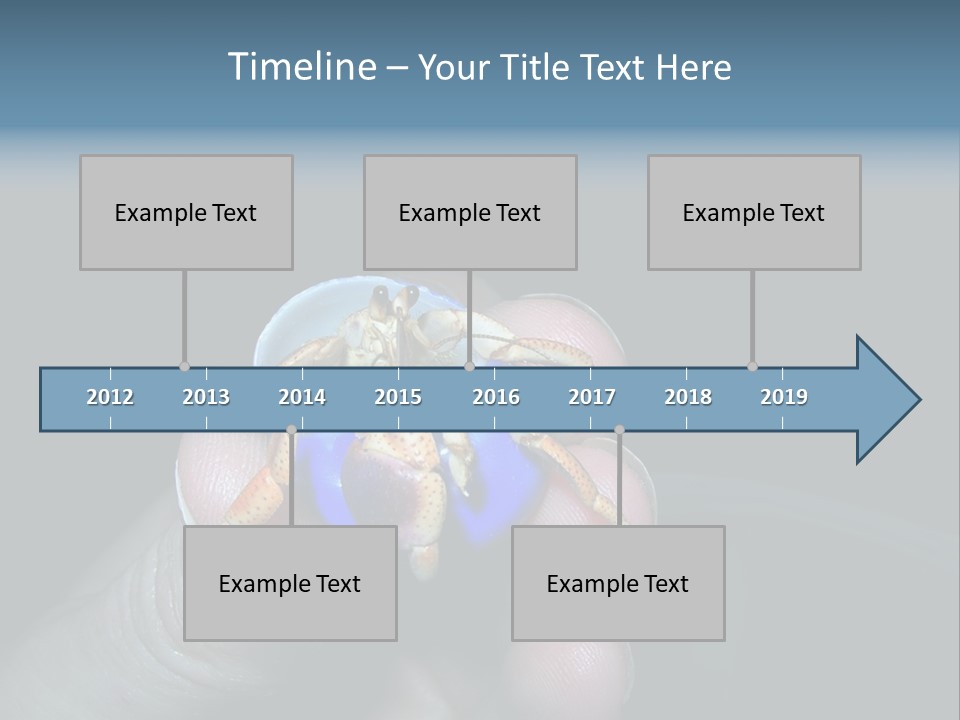 Hermit Crab PowerPoint Template
