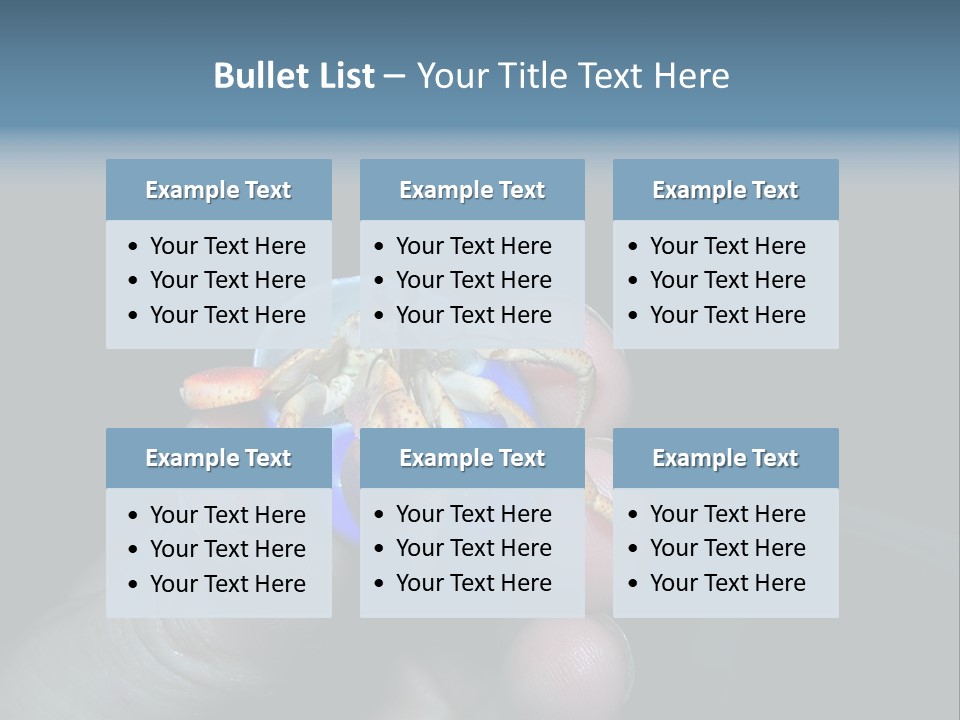 Hermit Crab PowerPoint Template