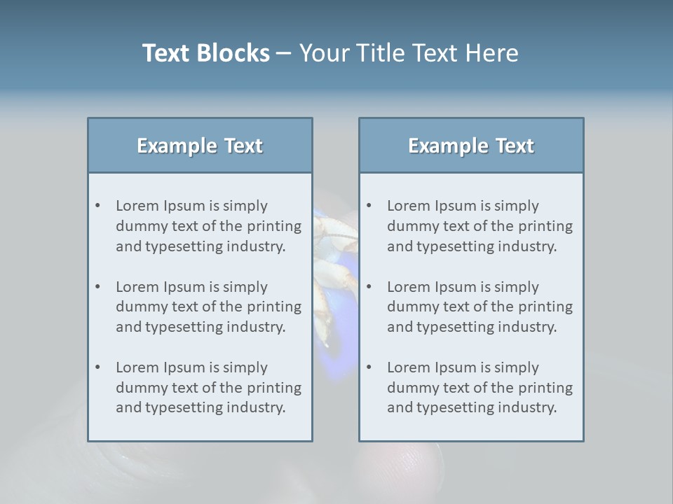 Hermit Crab PowerPoint Template