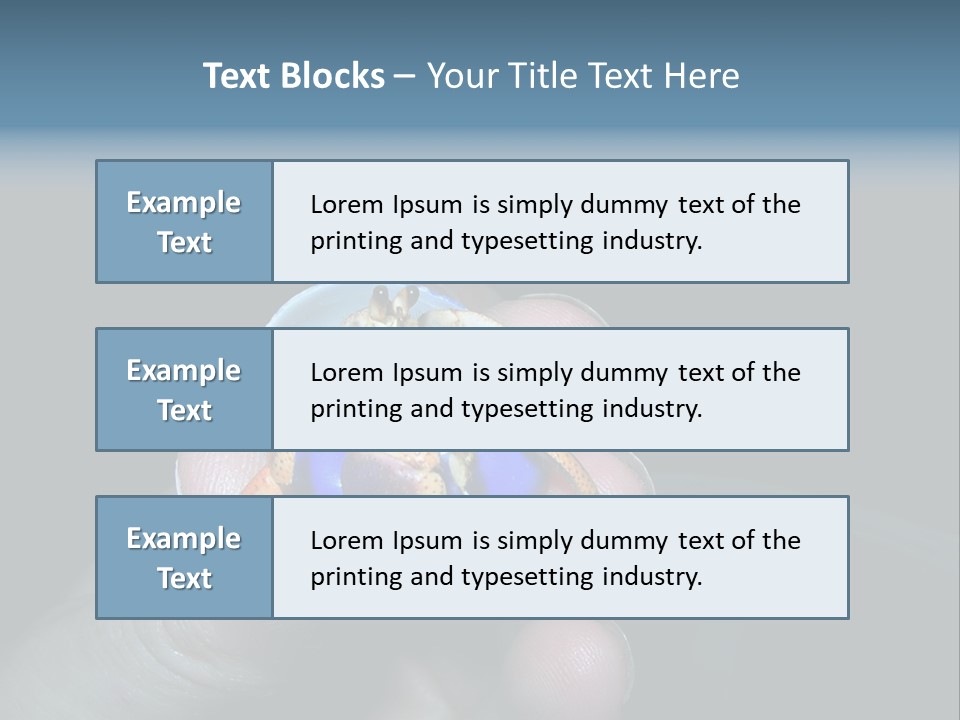 Hermit Crab PowerPoint Template