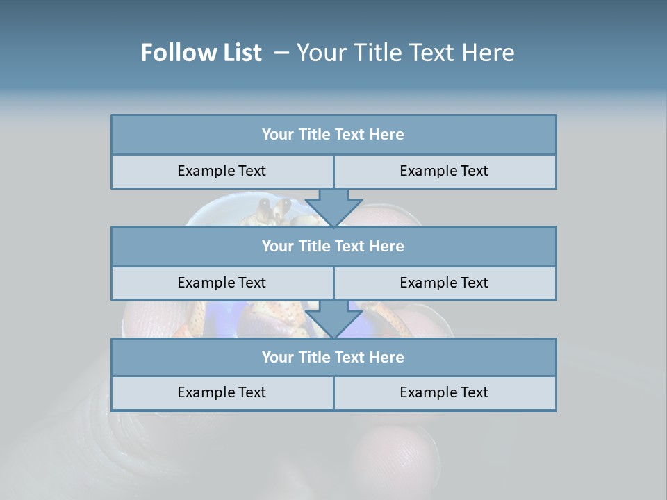 Hermit Crab PowerPoint Template
