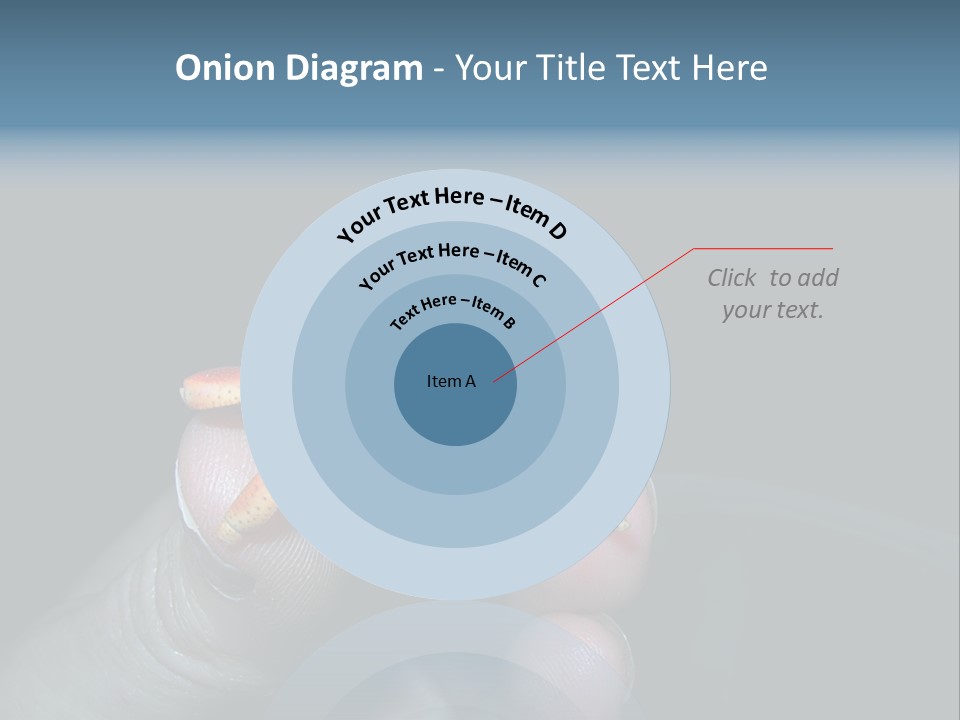 Hermit Crab PowerPoint Template
