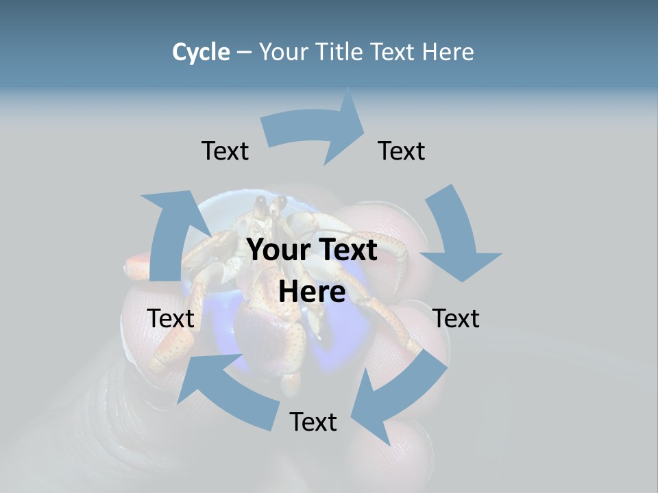 Hermit Crab PowerPoint Template