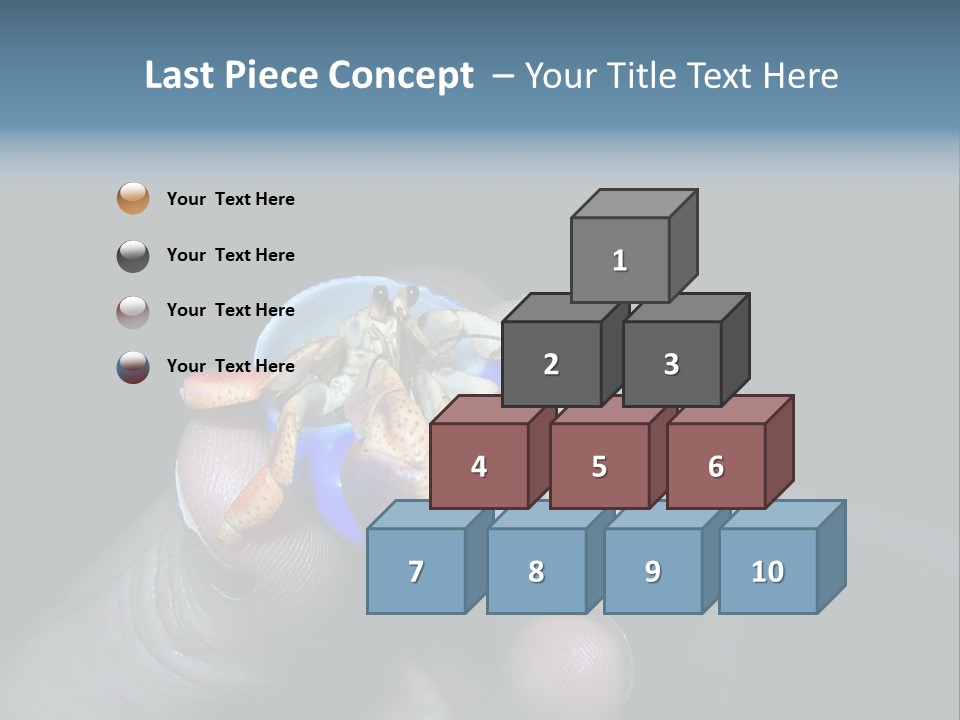 Hermit Crab PowerPoint Template
