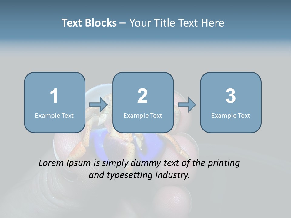 Hermit Crab PowerPoint Template