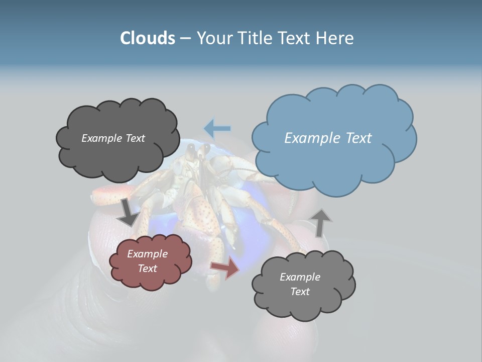 Hermit Crab PowerPoint Template