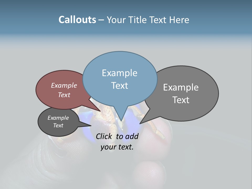 Hermit Crab PowerPoint Template