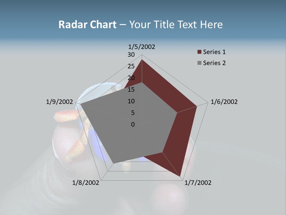 Hermit Crab PowerPoint Template