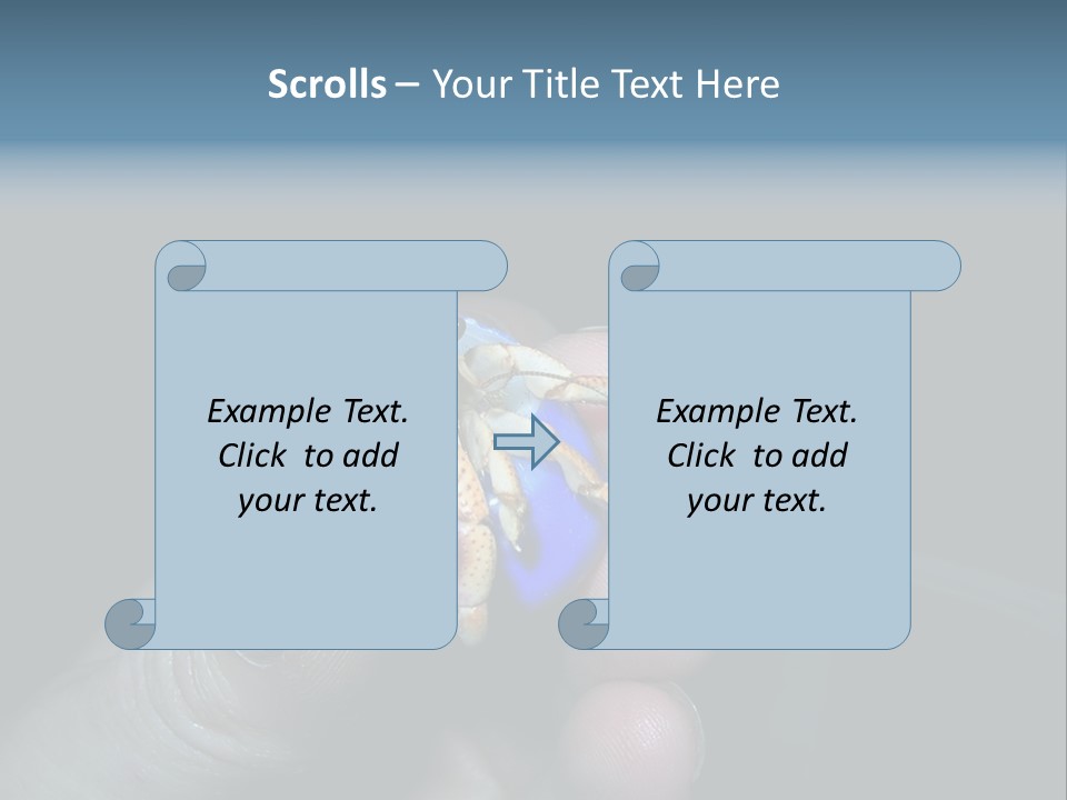 Hermit Crab PowerPoint Template