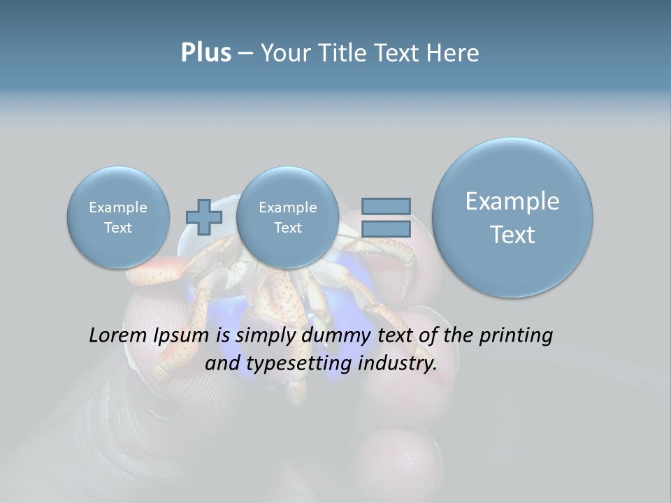 Hermit Crab PowerPoint Template