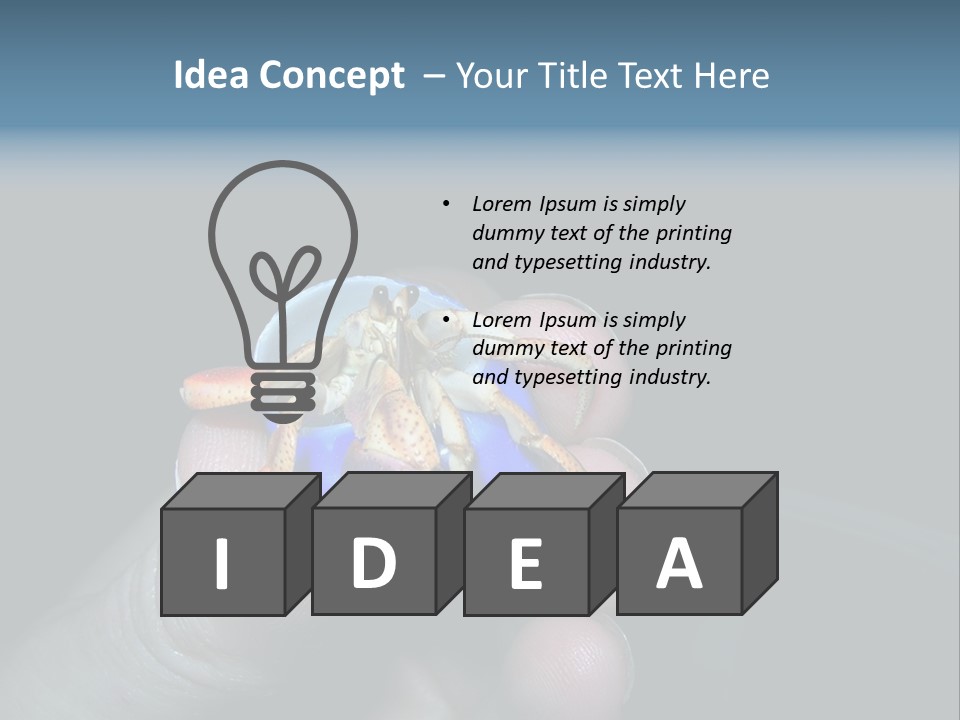 Hermit Crab PowerPoint Template