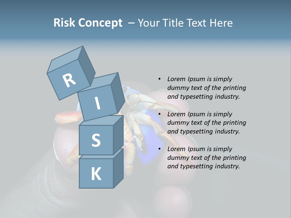 Hermit Crab PowerPoint Template