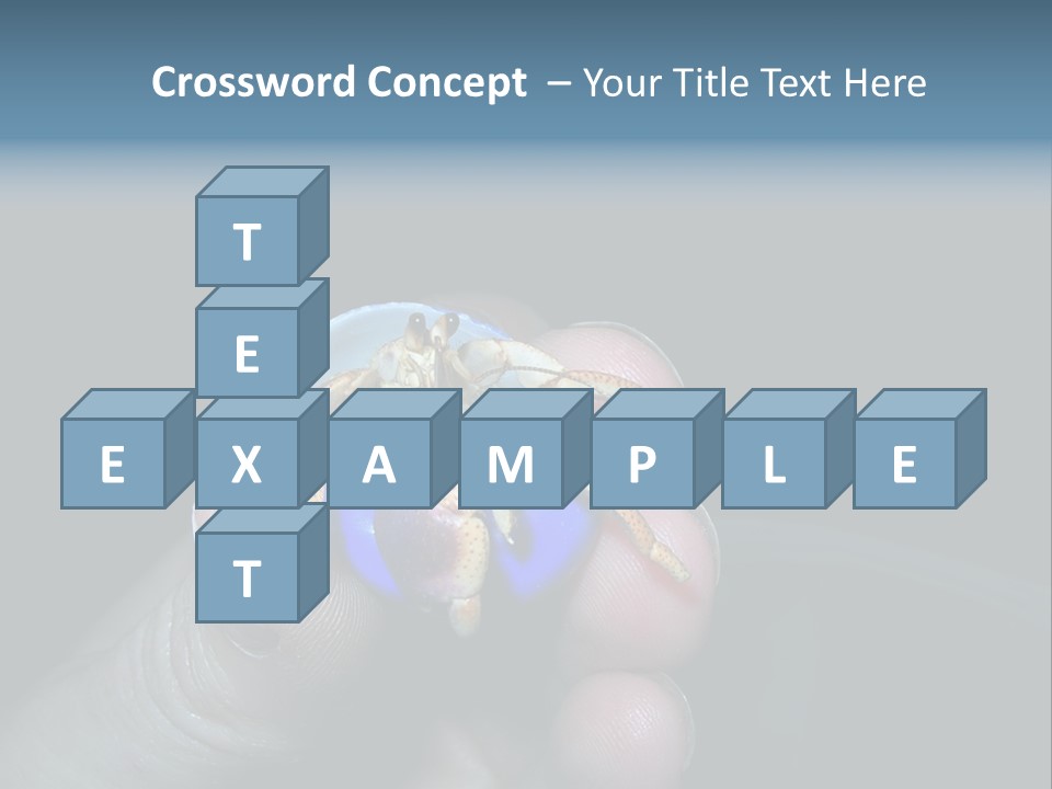 Hermit Crab PowerPoint Template