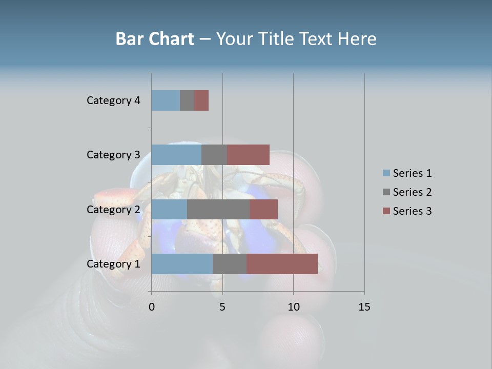 Hermit Crab PowerPoint Template