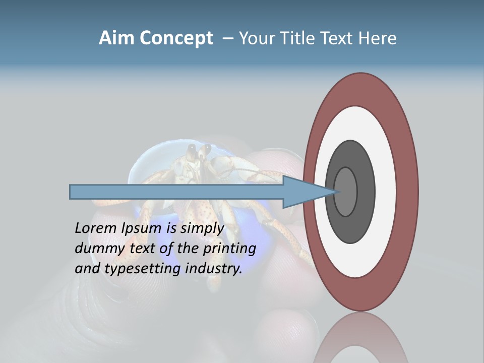Hermit Crab PowerPoint Template