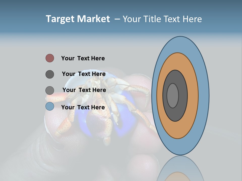Hermit Crab PowerPoint Template