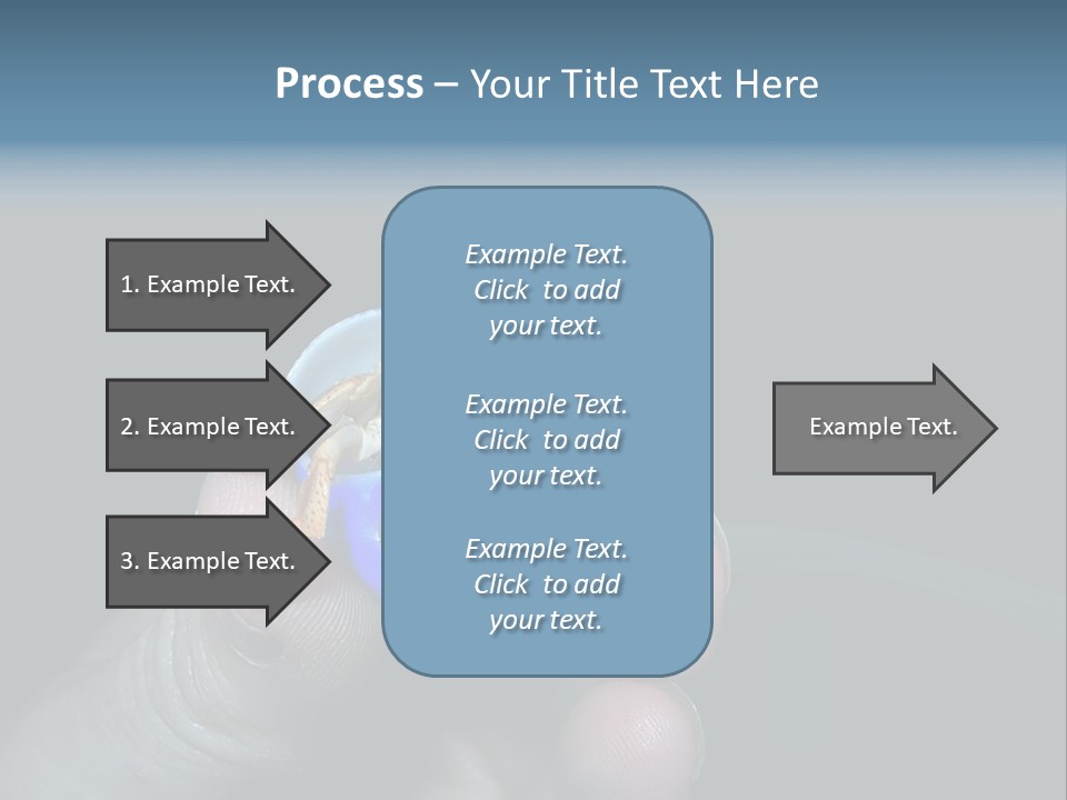 Hermit Crab PowerPoint Template