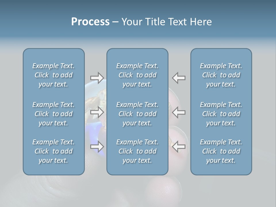 Hermit Crab PowerPoint Template
